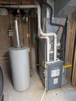 Image for Pro Temp Mechanical with ID of: 6904071