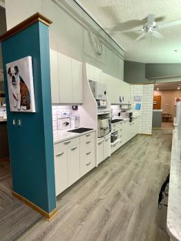 Image for Wendling Orthodontics with ID of: 6904334