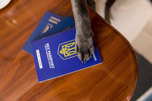 Image for Pets in Transit with ID of: 6904861
