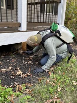 Image for Covenant Pest Services with ID of: 6905540