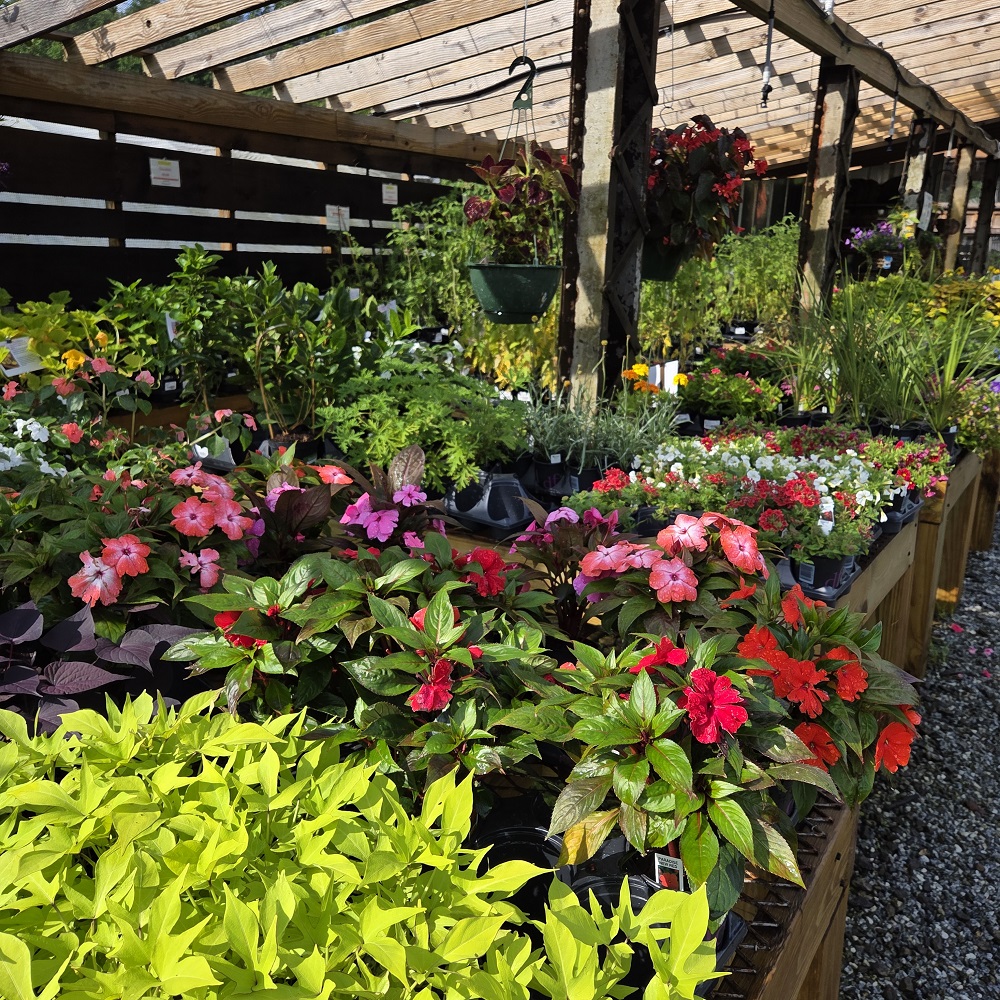 Image for Winding Stair Gardens with ID of: 6905615