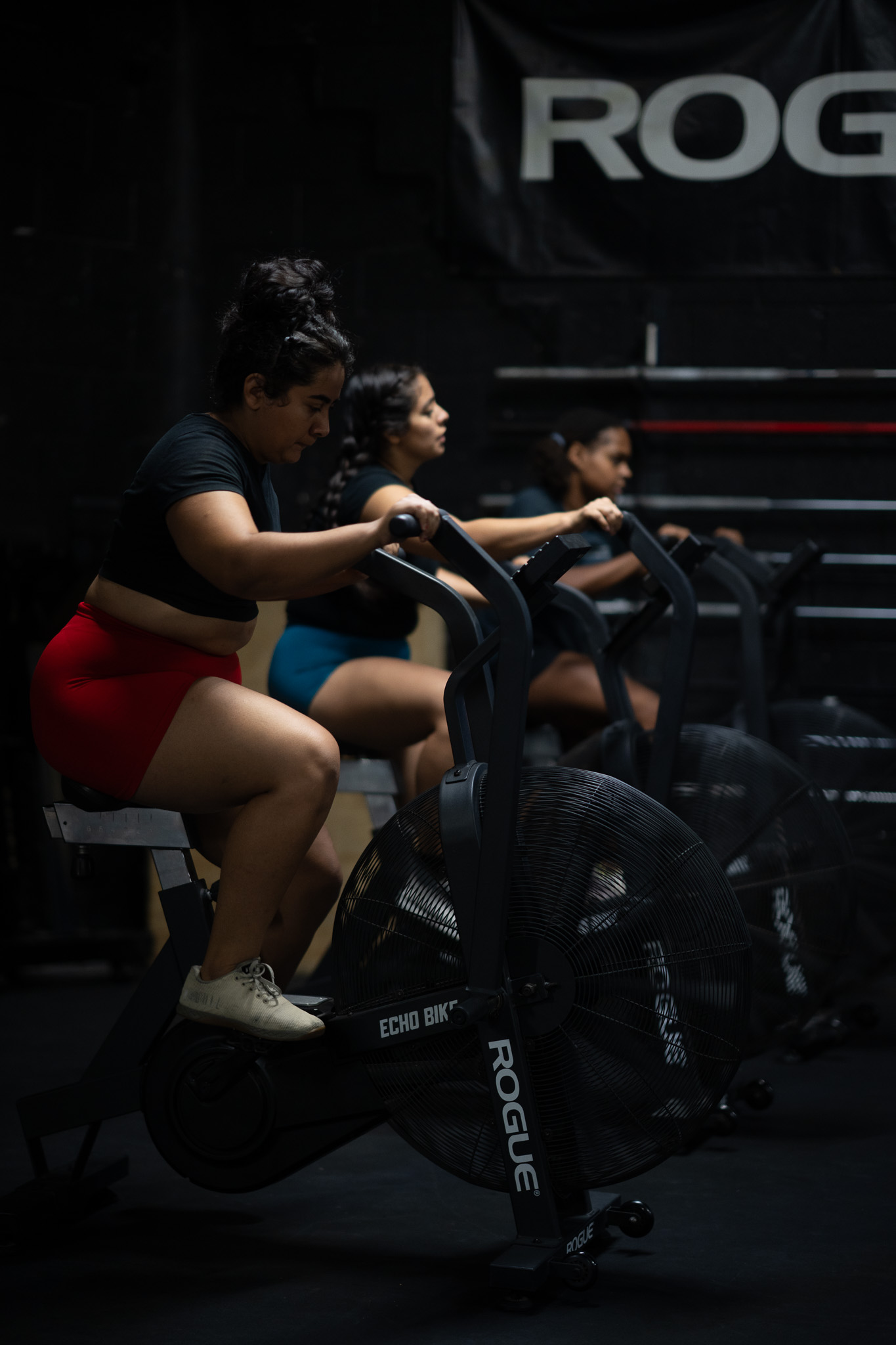 Image for Hunger in the Wild Gym with ID of: 6905791