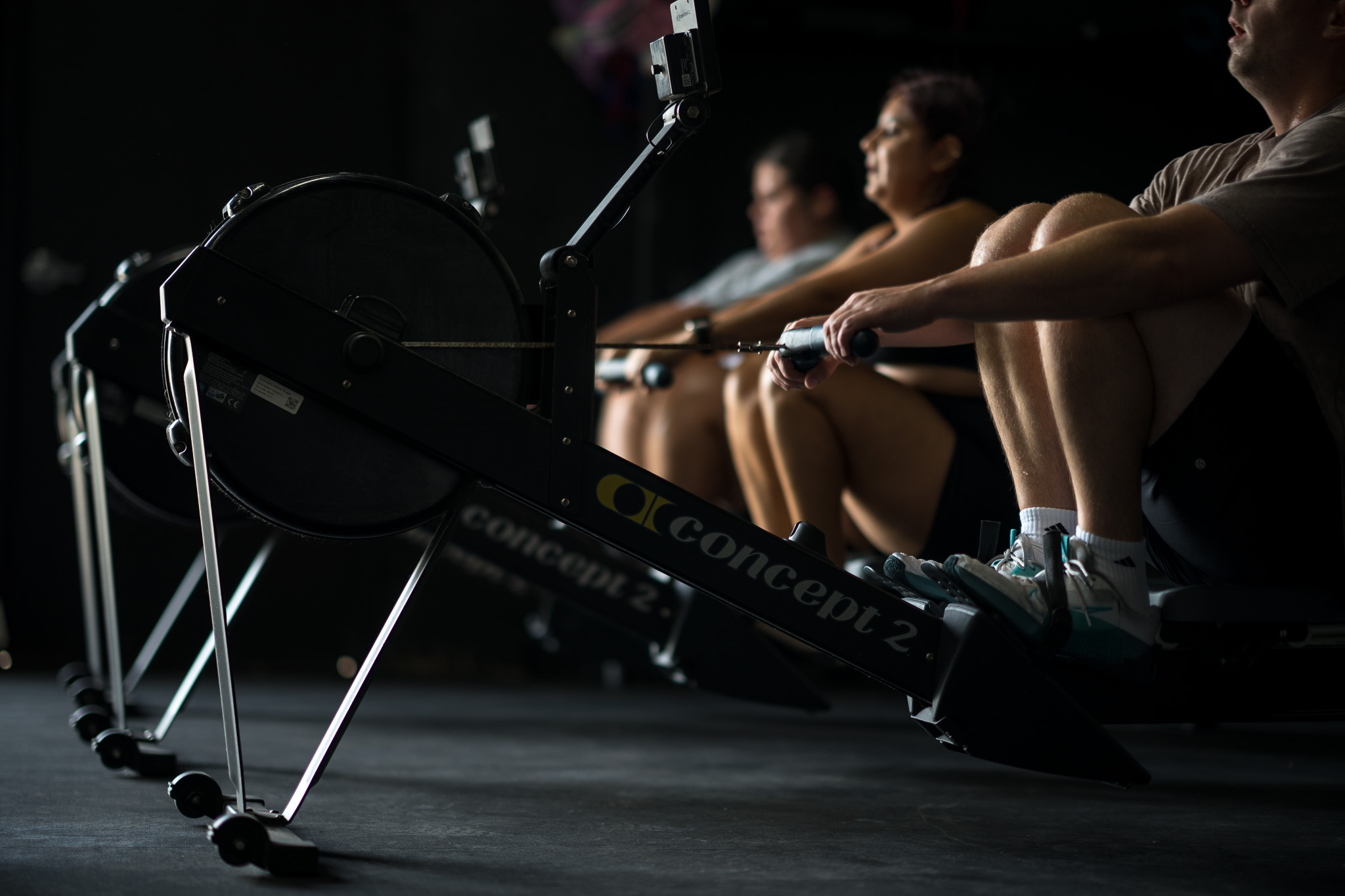 Image for Hunger in the Wild Gym with ID of: 6905794