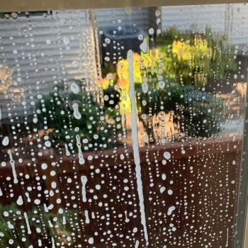Image for Paradise Window and Gutter with ID of: 6907149