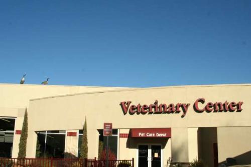 Image for Pet Affordable Lab Services with ID of: 6907850