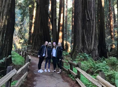 Image for San Francisco Jeep Tours with ID of: 6908737