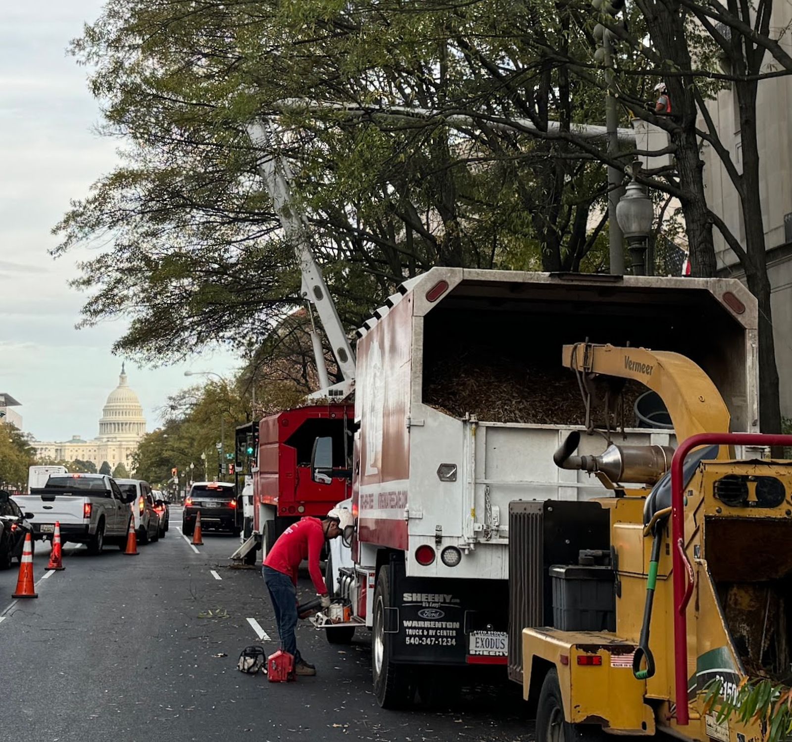 Image for Grant Brothers Tree Service with ID of: 6909392