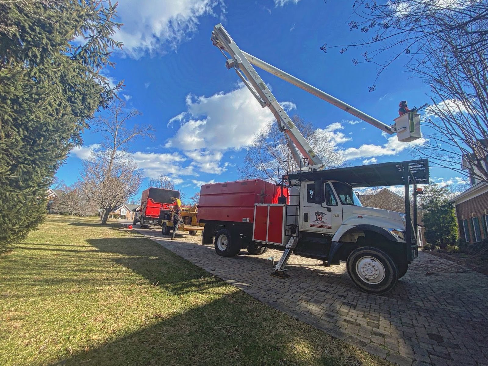 Image for Grant Brothers Tree Service with ID of: 6909395