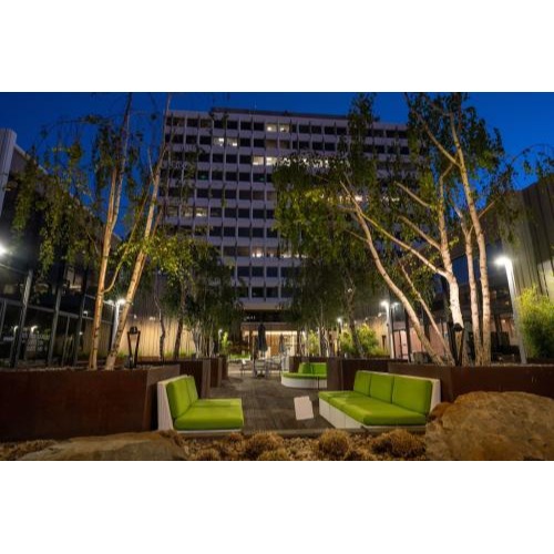 Image for Brain Wellness Center with ID of: 6909593