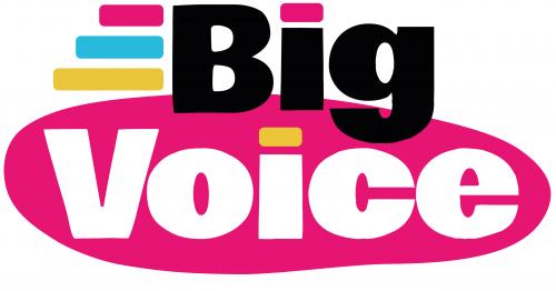 Image for Big Voice Ltd with ID of: 6990006