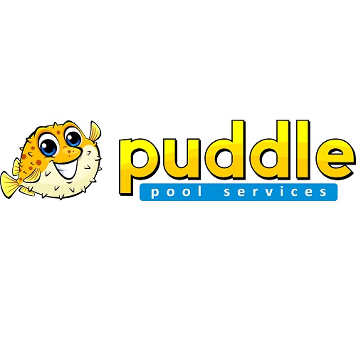 Image for Puddle Pool Services with ID of: 6991373