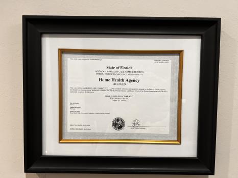 Image for Home Care Collective, LLC with ID of: 6911708