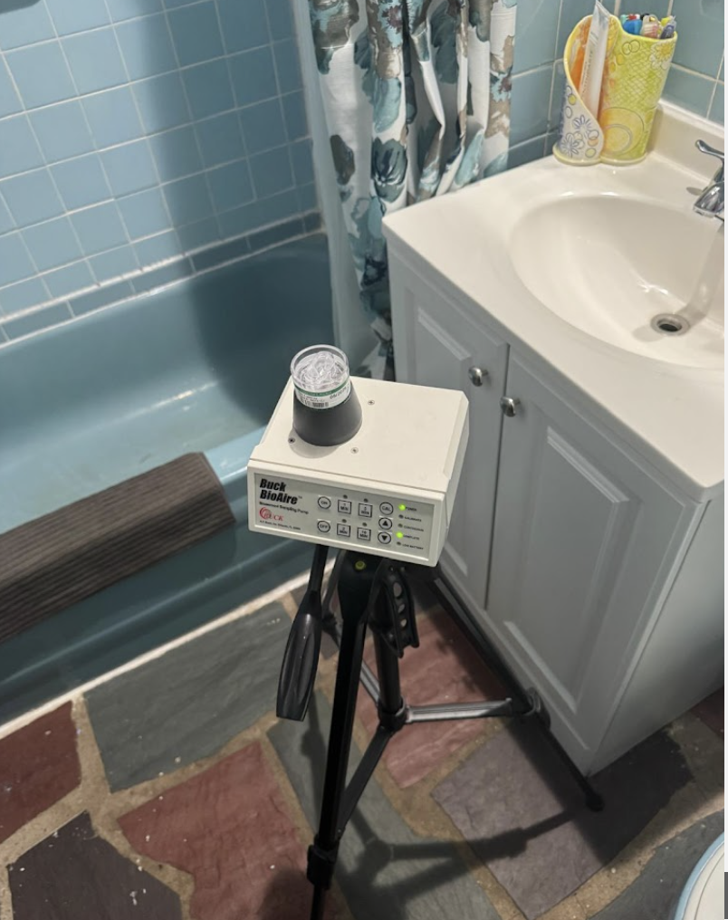 Image for Crown Mold Specialists with ID of: 6912019