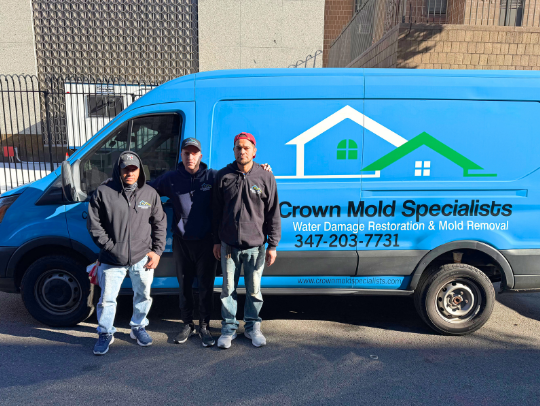Image for Crown Mold Specialists with ID of: 6912020