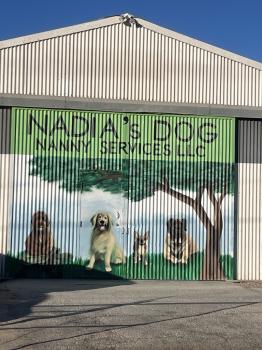 Image for Nadia's Dog Nanny Services LLC with ID of: 6915710