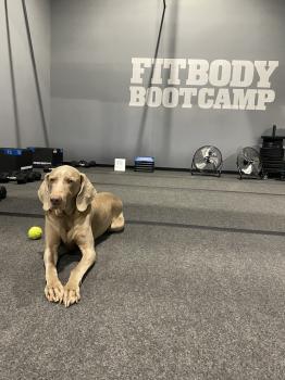 Image for Ventura Fit Body Boot Camp with ID of: 6915962