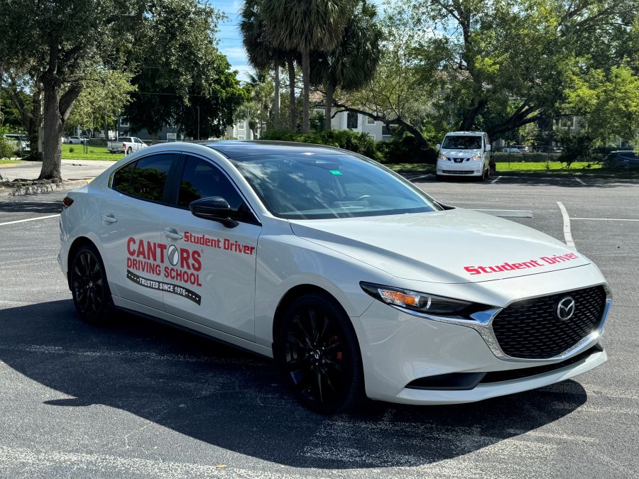 Image for Cantor's Driving School with ID of: 6916846
