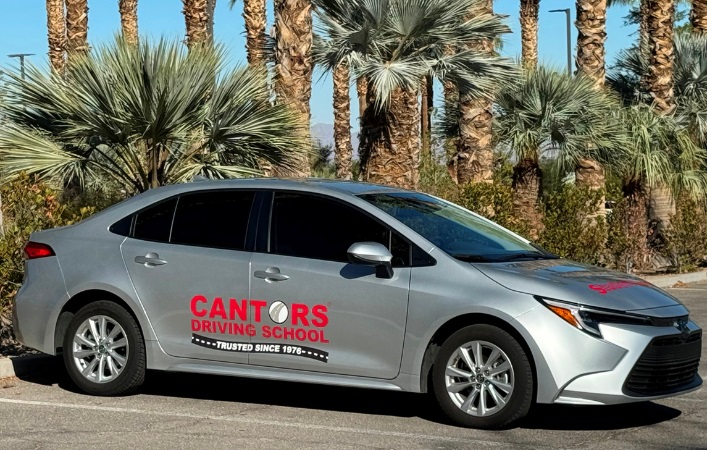 Image for Cantor's Driving School with ID of: 6916850