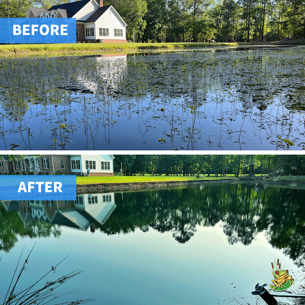 Image for The Lake Doctors, Inc. with ID of: 6917376