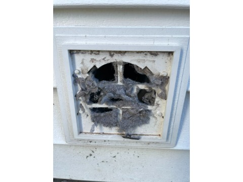 Image for Pure Air Dryer Vent Cleaners with ID of: 6917787