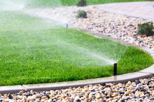 Image for Tropical Irrigation with ID of: 6919169