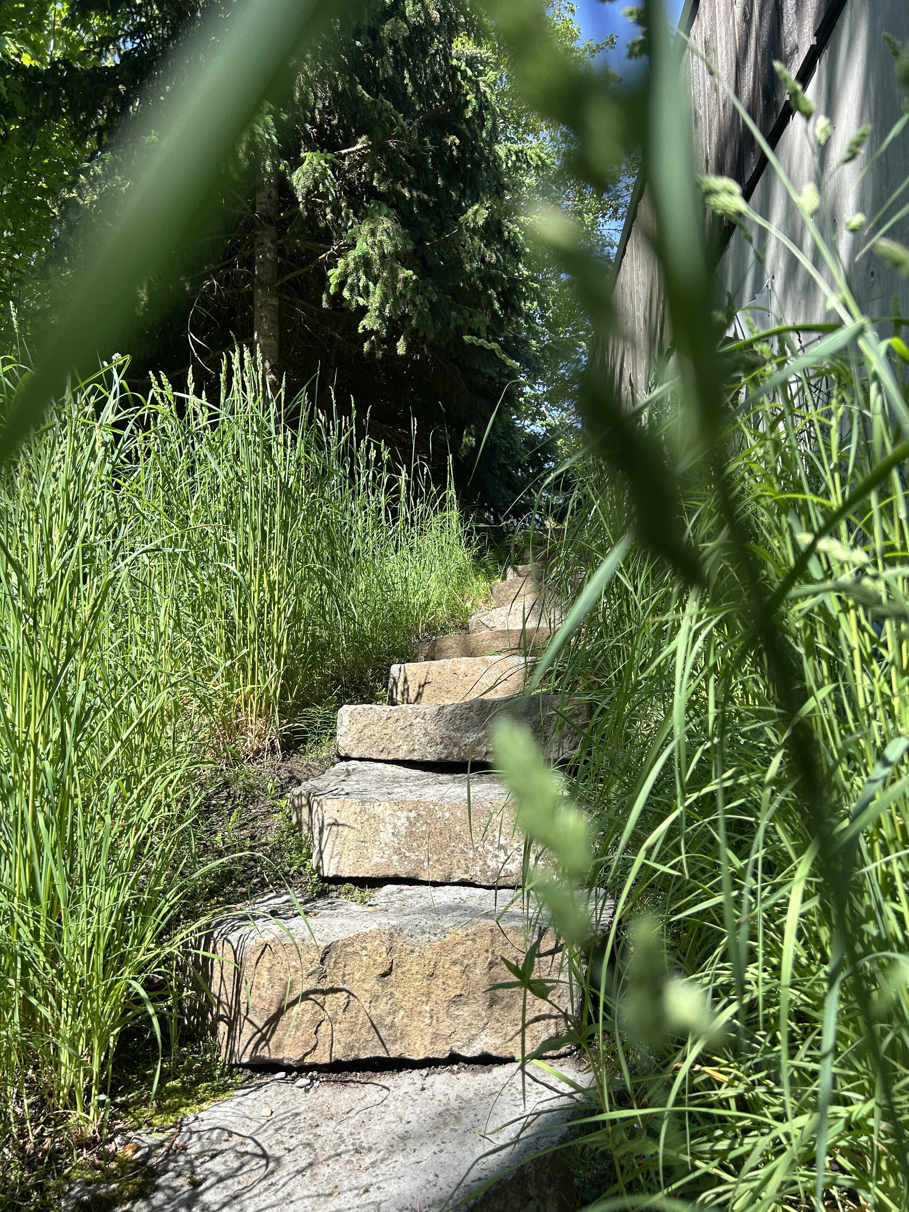 Image for Harmony Landscaping with ID of: 6919583