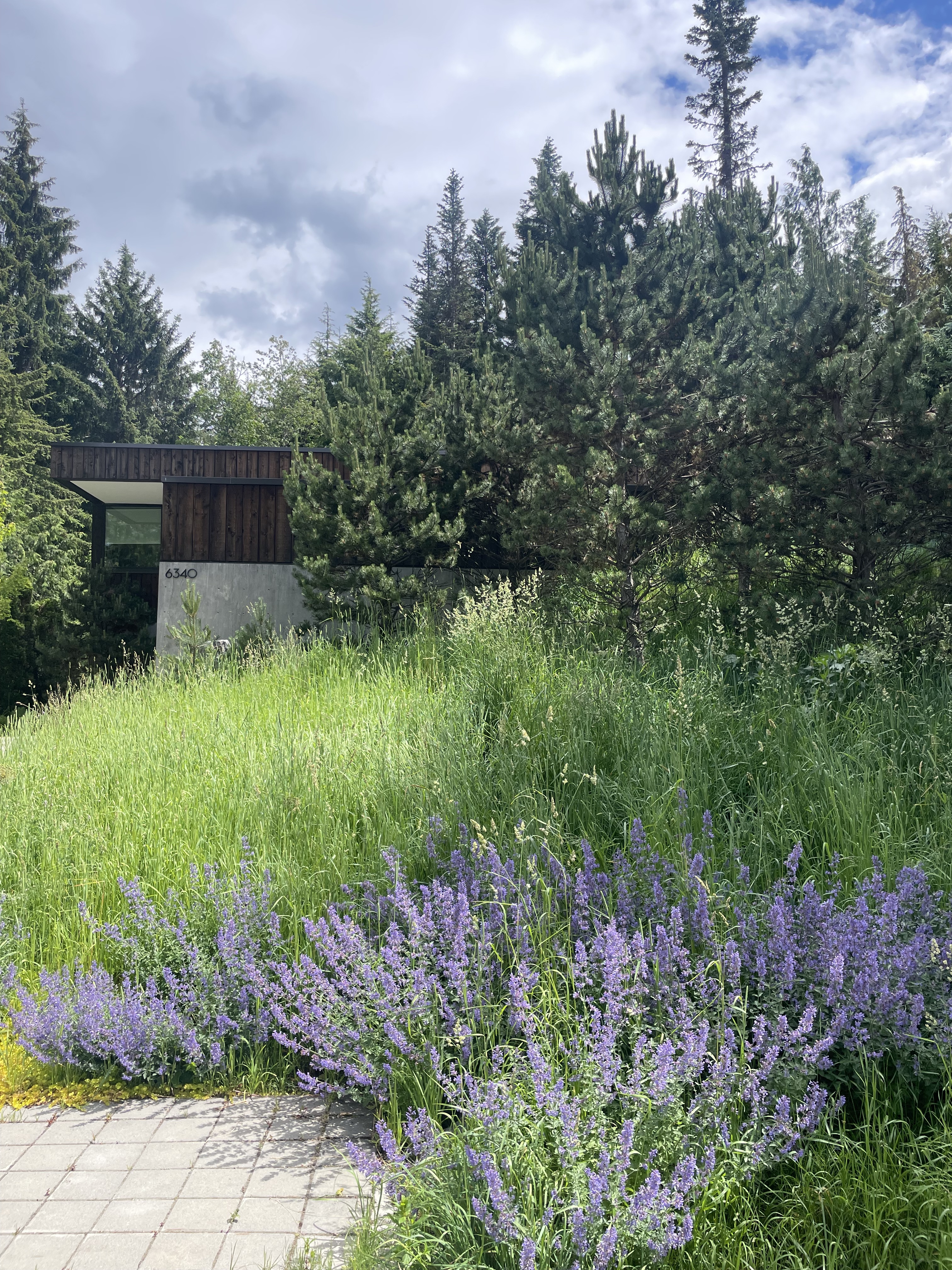 Image for Harmony Landscaping with ID of: 6919587