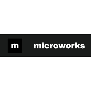 Image for Microworks Handyman Ltd with ID of: 6999272