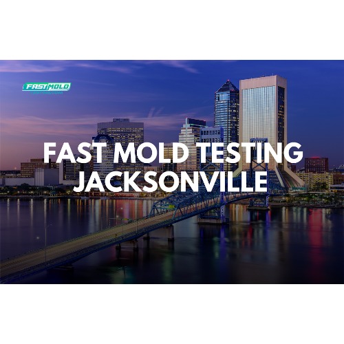 Image for Fast Mold Testing - Jacksonville with ID of: 6920443