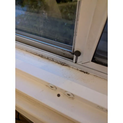 Image for Fast Mold Testing - Jacksonville with ID of: 6920446