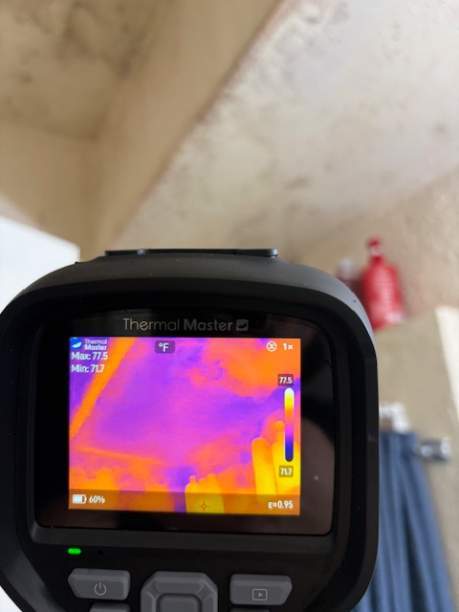 Image for Fast Mold Testing - Denver with ID of: 6921371
