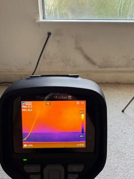 Image for Fast Mold Testing - Denver with ID of: 6921372