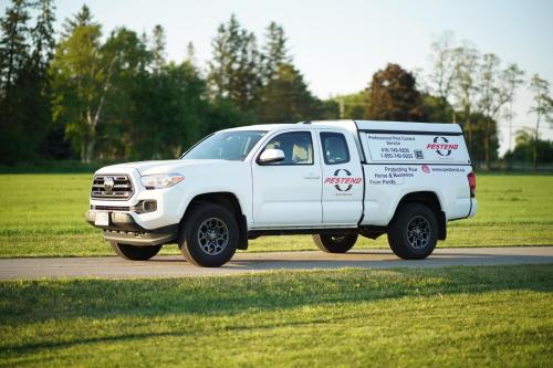 Image for Pestend Pest Control Ottawa with ID of: 6921446
