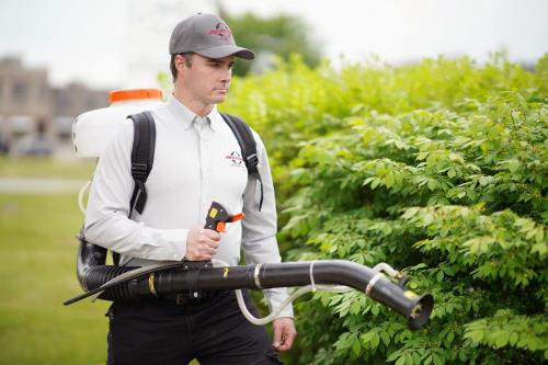 Image for Pestend Pest Control Ottawa with ID of: 6921447
