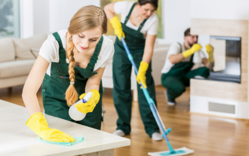 Image for Hamilton Cleaning Services with ID of: 6922006