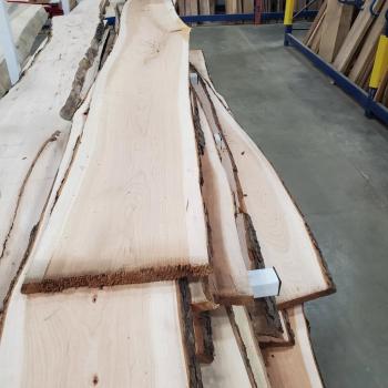 Image for Windsor Plywood with ID of: 6922276