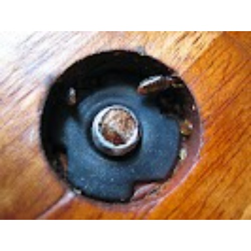 Image for Pestend Pest Control Toronto with ID of: 6922523