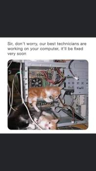 Image for CT IT Services LLC with ID of: 6705135