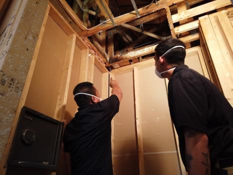 Image for FP Property Restoration with ID of: 6922945