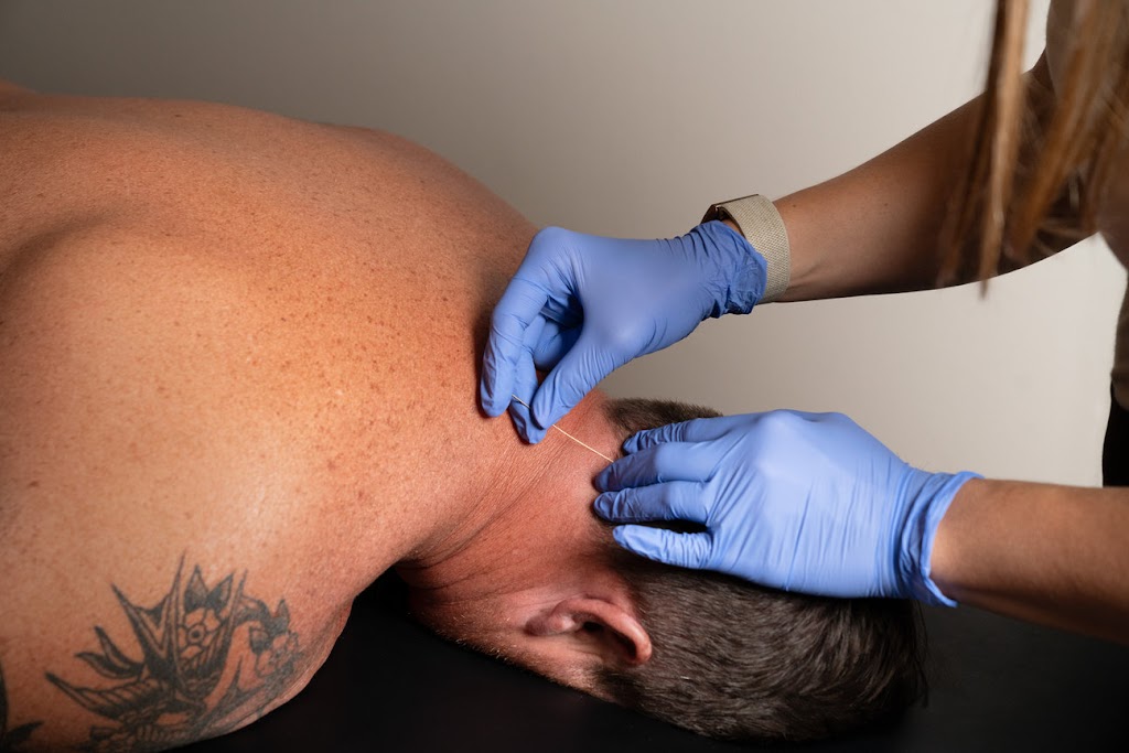 Image for Mountain Laurel Physical Therapy with ID of: 6923313