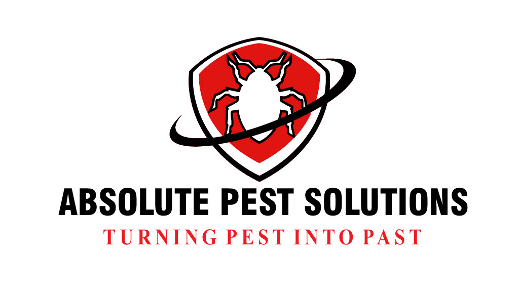 Image for Absolute Pest Solutions with ID of: 6924686