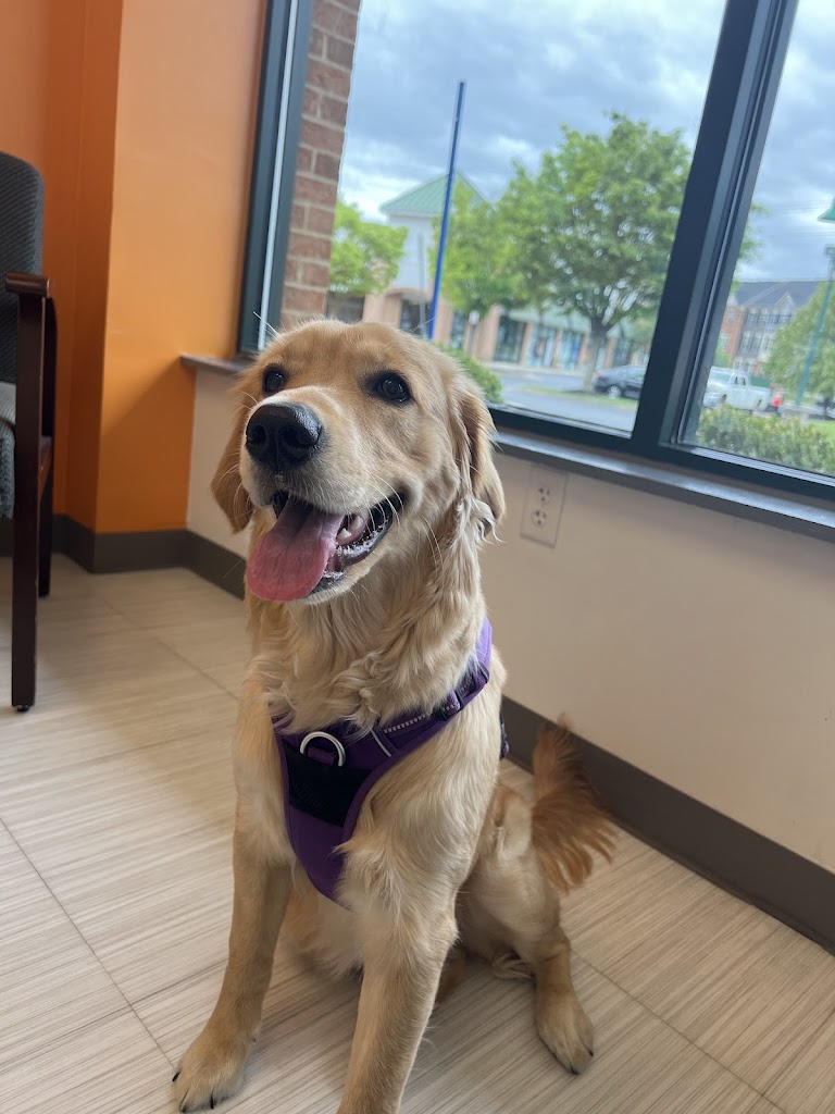 Image for Nova Animal Hospital with ID of: 6924923