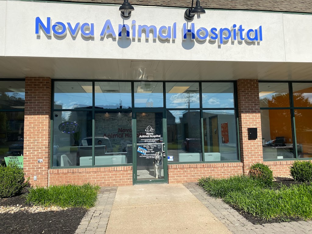 Image for Nova Animal Hospital with ID of: 6924924