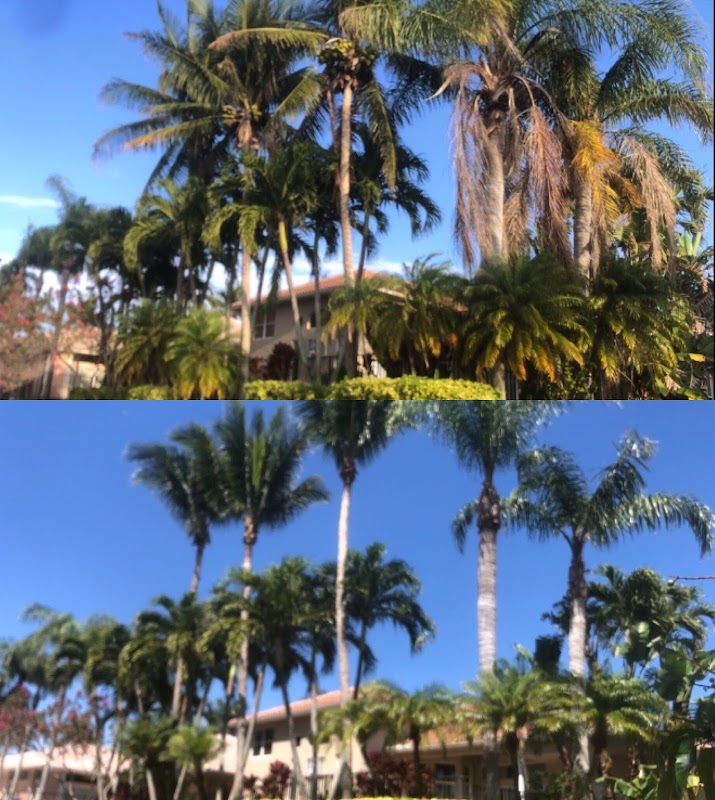 Image for Lavinscape Trees & Landscaping with ID of: 6926106