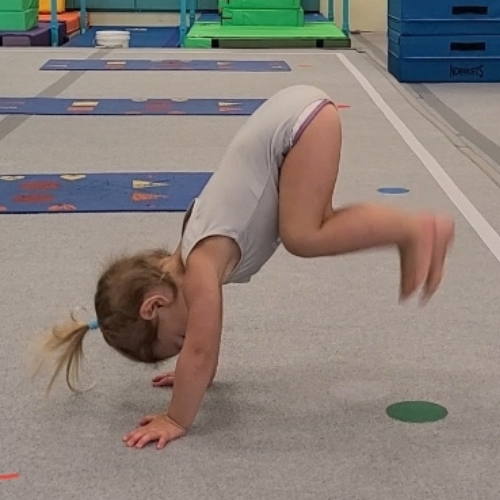 Image for Jump! Gymnastics with ID of: 6926581