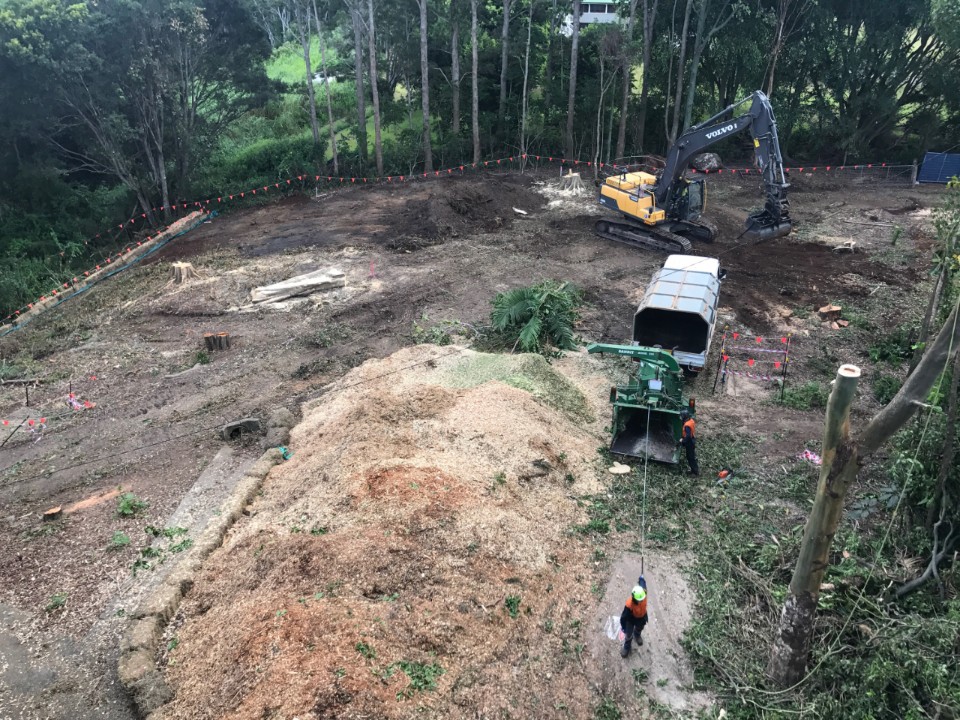 Image for Tweed Heads Arborists with ID of: 6930445