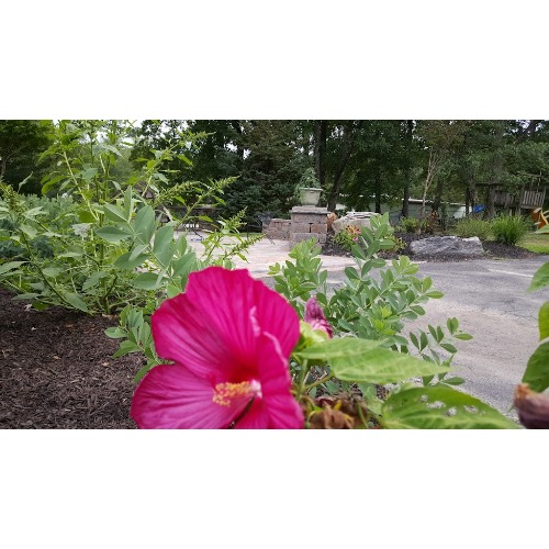 Image for Green Acres with ID of: 6930891