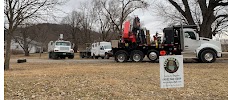 Image for Tree Wise Men Professional Tree Care with ID of: 6933841