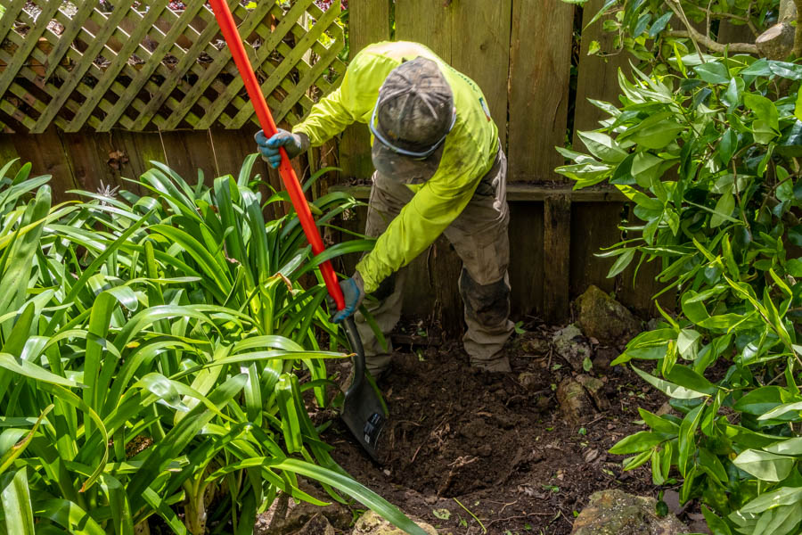 Image for Arborist Now with ID of: 6934624