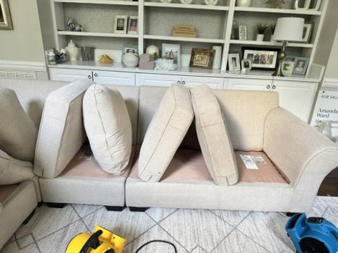 Image for Couch Steamers - Upholstery Cleaning with ID of: 6935339